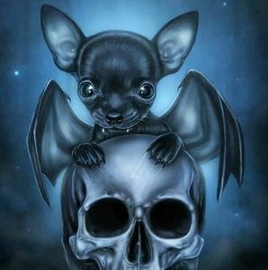 Meet your Posher, Kitty